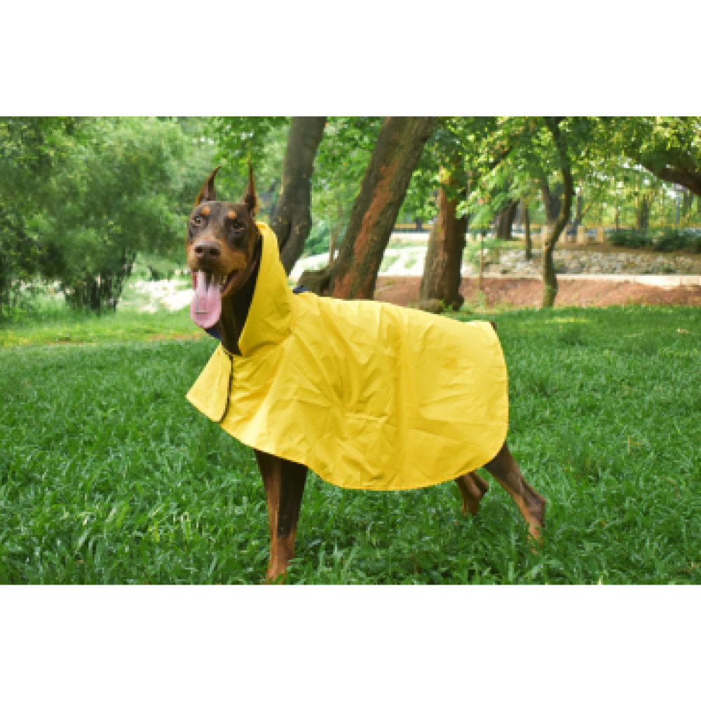 Pet Set Go Cape Style Raincoat for Dogs (Yellow) image 7