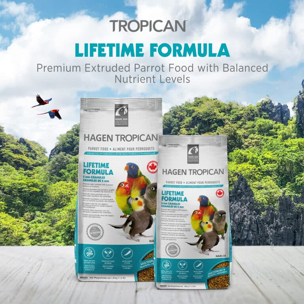 Hagen Tropican Lifetime Formula Bird Food image 4