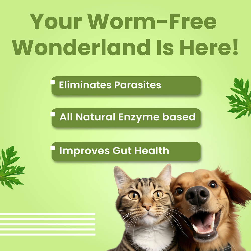 Bark Out Loud En Dewor Deworming Solution Tablets for Dogs and Cats image 2