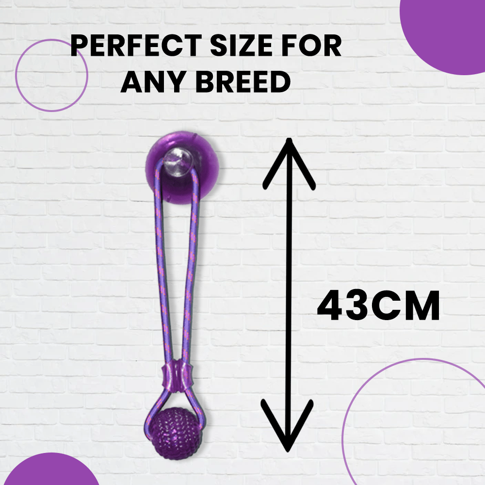 Basil Silicon Vacuum Cup with Rope & Ball Toy for Dogs and Cats | For Medium Chewers (Purple) image 4
