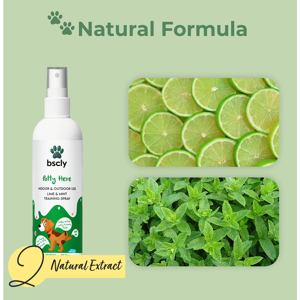 Bscly Fresh Mint Oral Spray for Dogs and Cats image 5