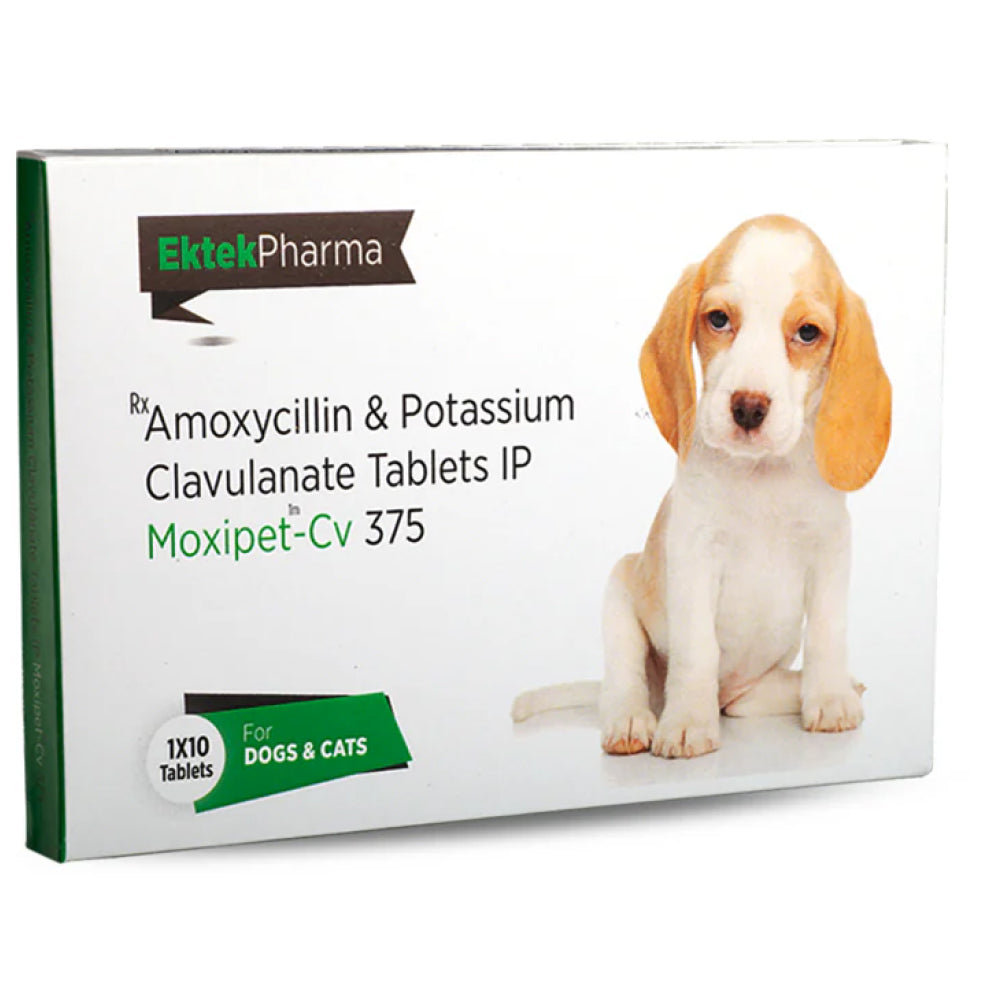 Ek Tek Moxipet CV 375mg Tablet (Amoxicillin & Clavulanate) for Dogs and Cats