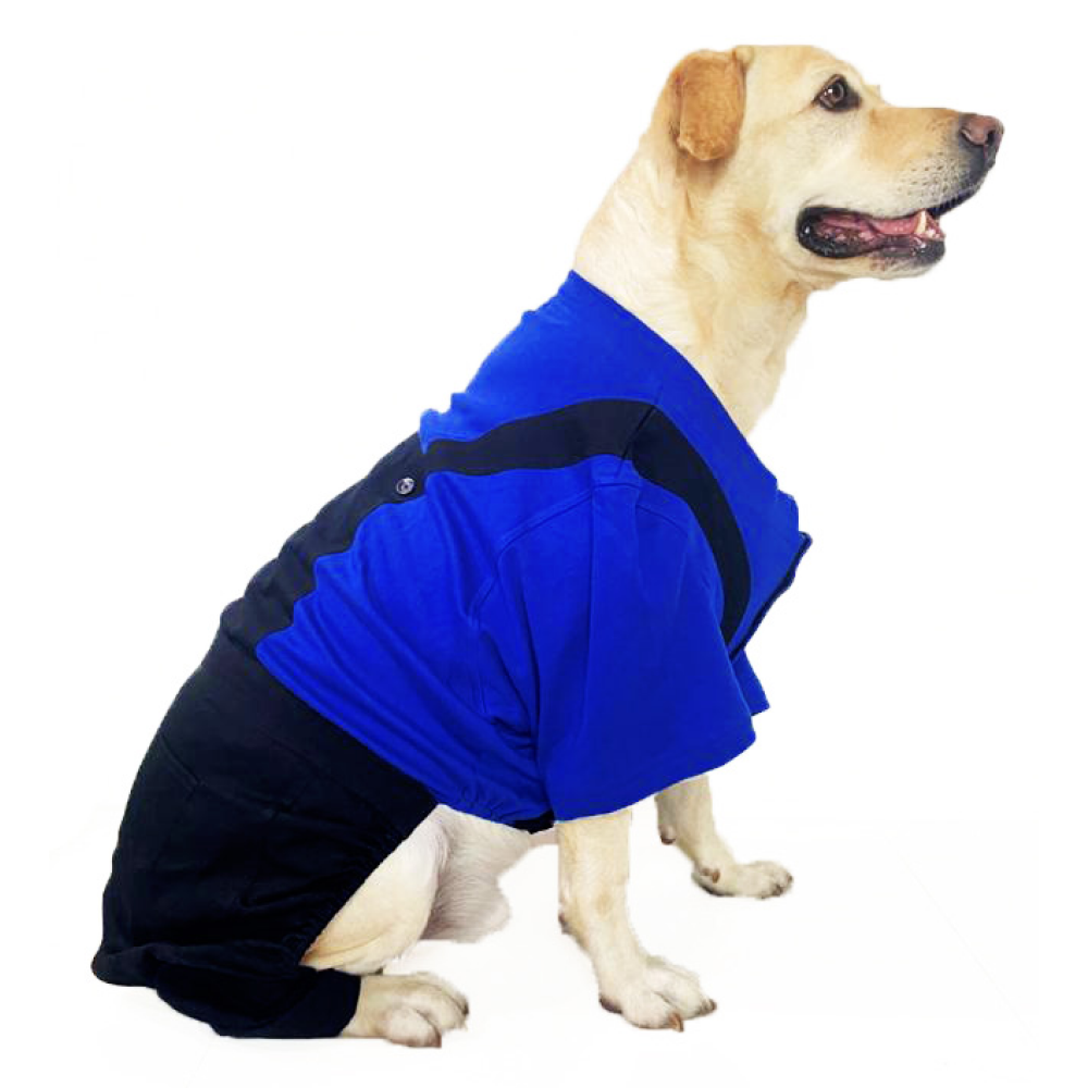 Dogobow Dungaree Dress For Dogs (Blue/Black) (Get a Bow Free) image 4