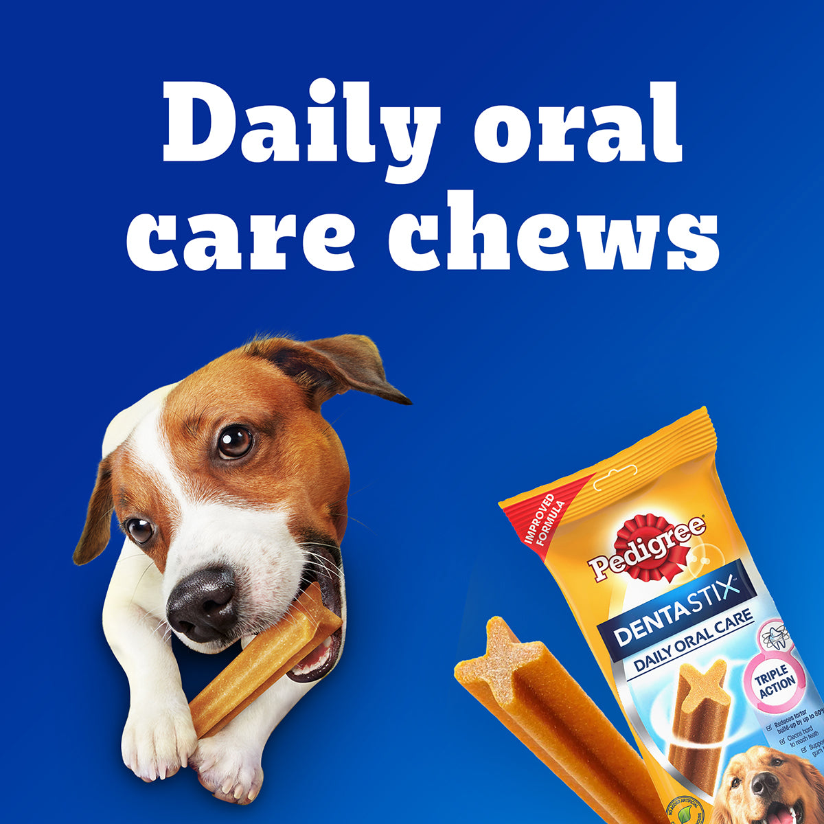 Pedigree Dentastix Oral Care for Adult (Large Breed of 25 kg+) Dog Treats image 4