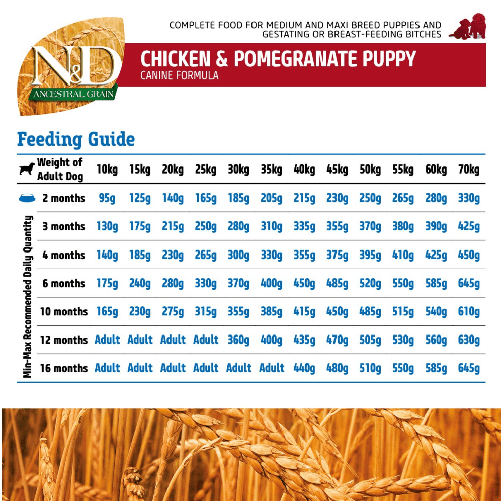 Farmina N&D Chicken & Pomegranate Ancestral Grain Puppy Medium Maxi Dog Dry Food image 6