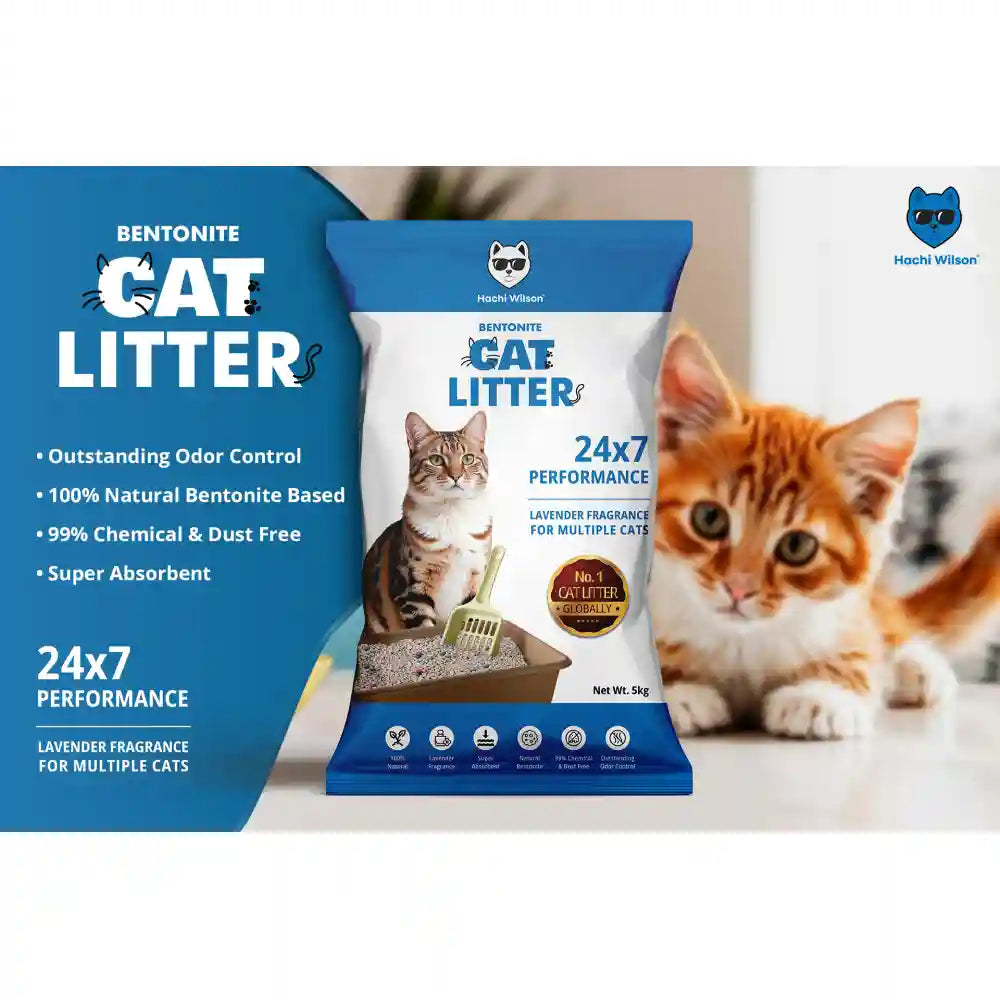 Hachi Wilson Scented Natural Bentonite White Sand Cat Litter image 7