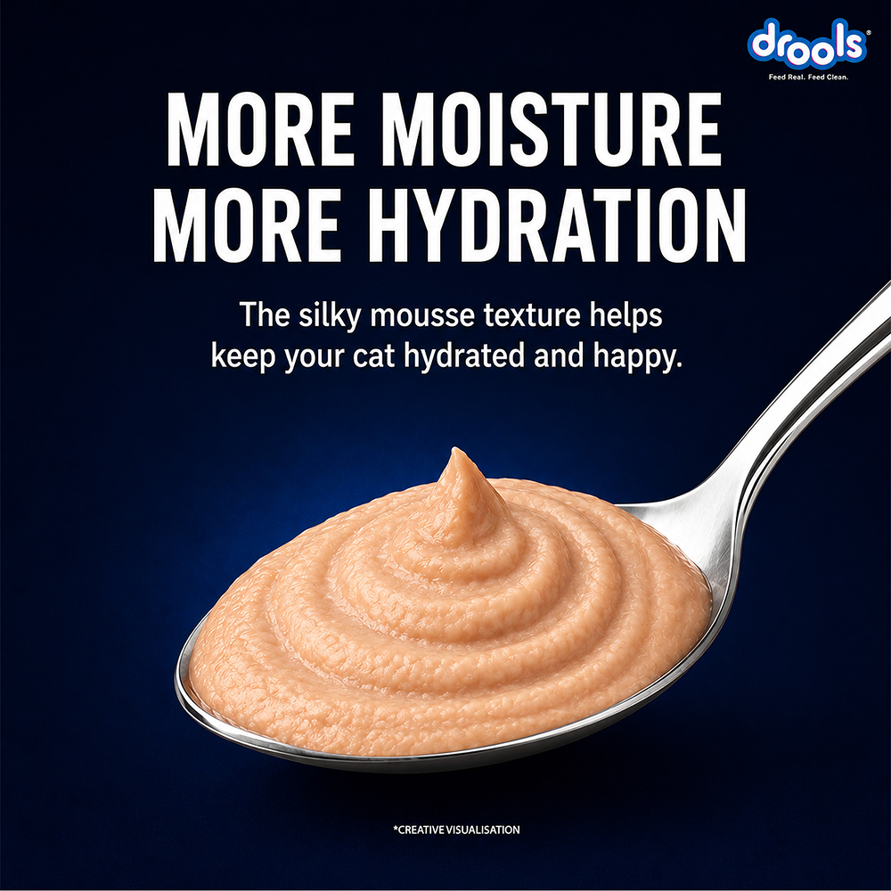 Drools Salmon Mousse Adult Cat Wet Food image 9