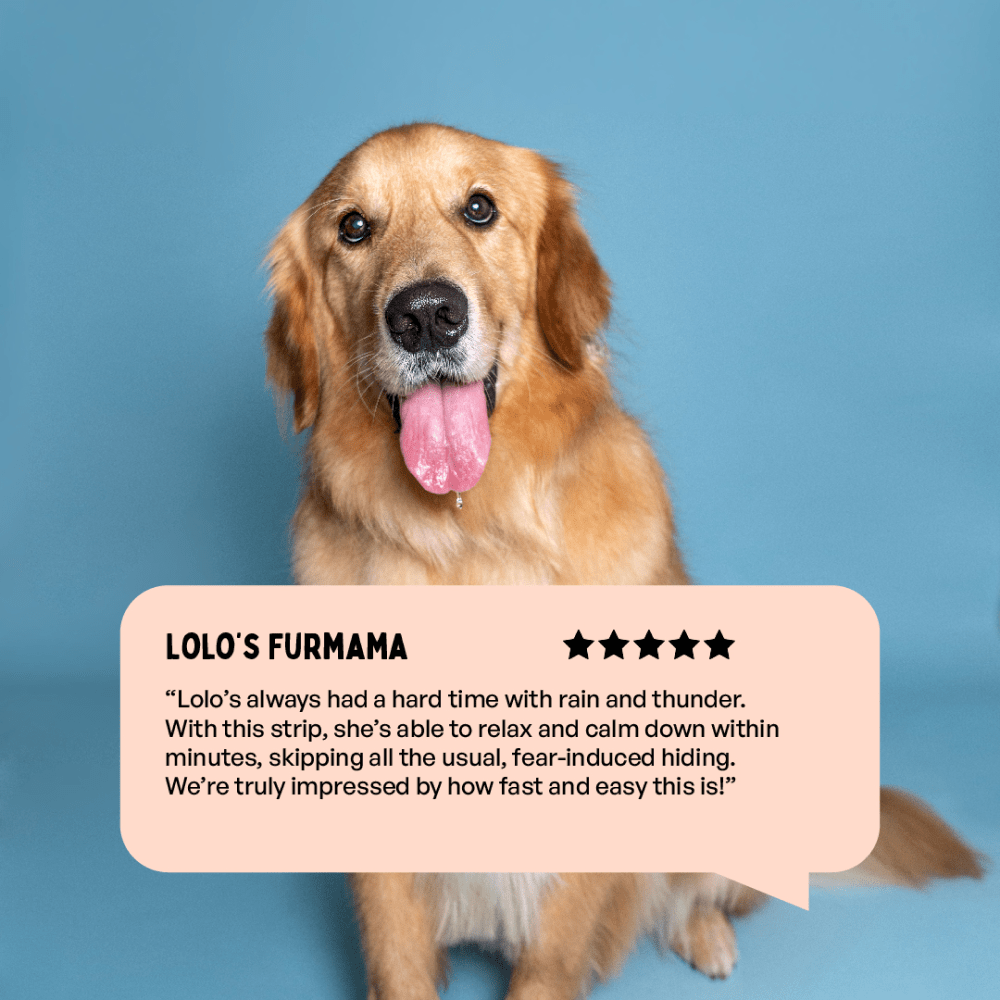 Furlicks Calming Aid for Cats and Dogs image 7