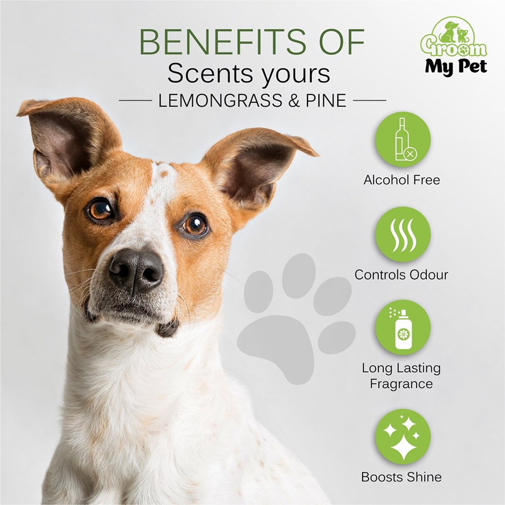 Groom My Pet Lemongrass & Pine Pampered Pooch Cologne for Dogs image 2