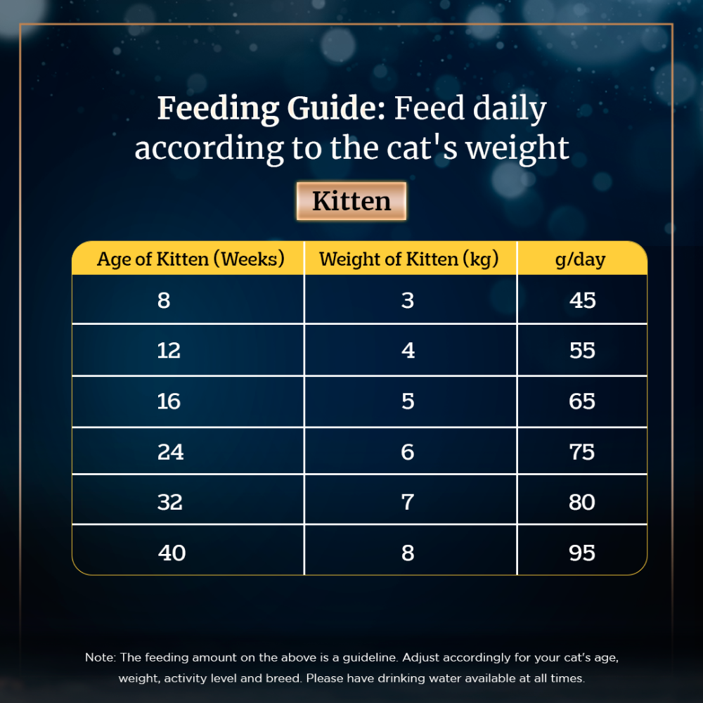 Sheba Complete Nutrition Tuna White Meat & Snapper In Gravy Cat Wet Food and Salmon Flavour Irresistible Cat Dry Food Combo image 9