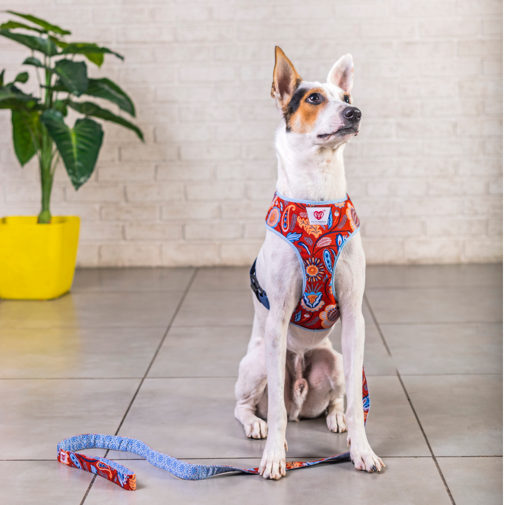 Pet And Parents Indie Floral Reversible Harness for Dogs image 5