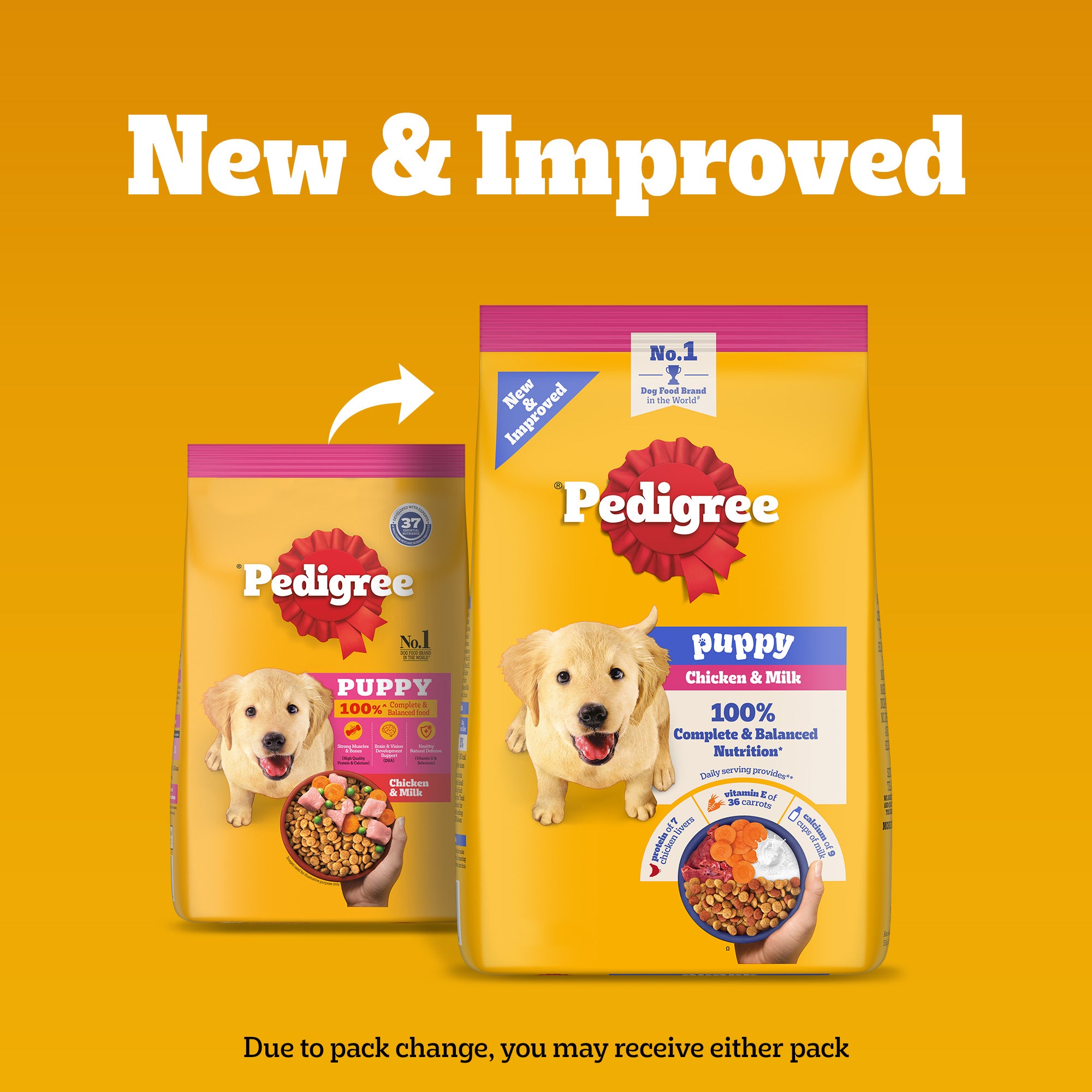Pedigree Puppy Dog Food Combo |Chicken & Milk Dry & Chicken & Liver Wet image 5