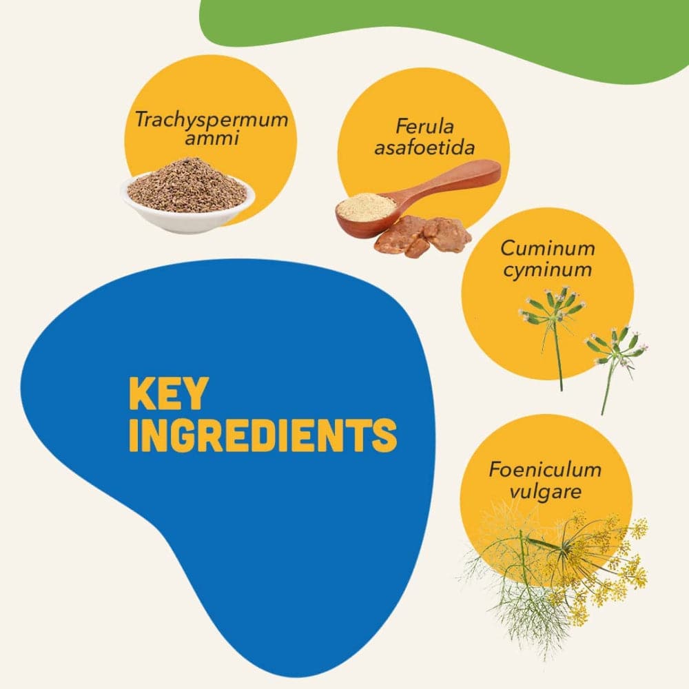 Natural Remedies Digestive Bites Chew Treats for Dogs image 4