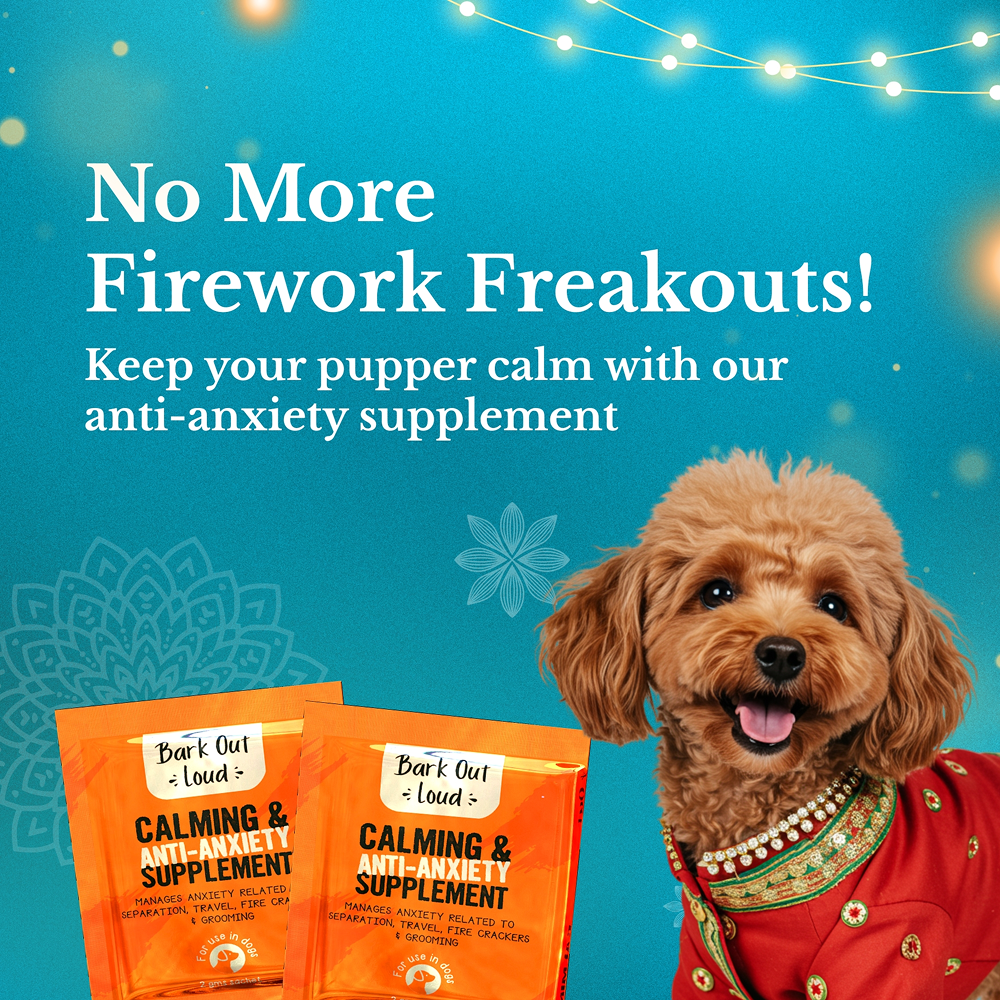 Bark Out Loud Festive Gift Box for Dogs image 5
