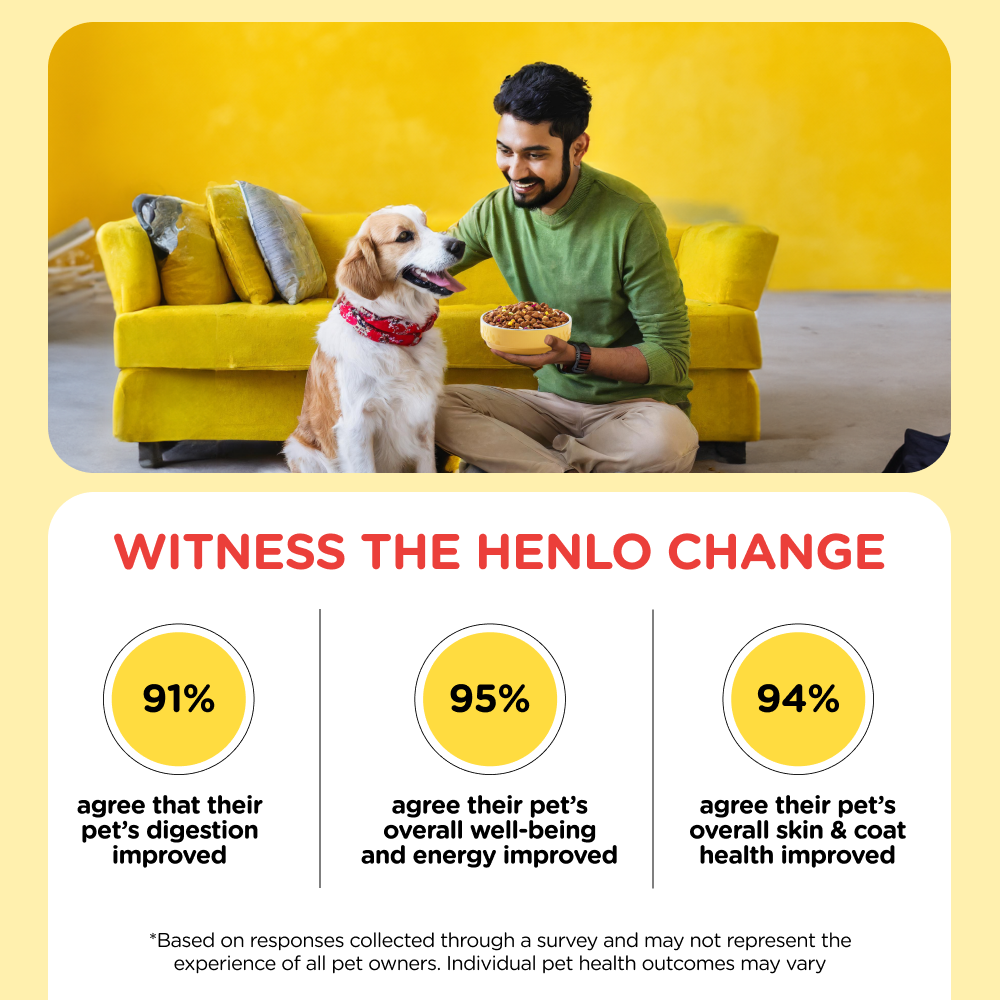 Henlo Chicken & Vegetable Baked Dry Food for Adult Dogs and SKATRS Anti Skid Stainless Steel Bowl Combo image 6