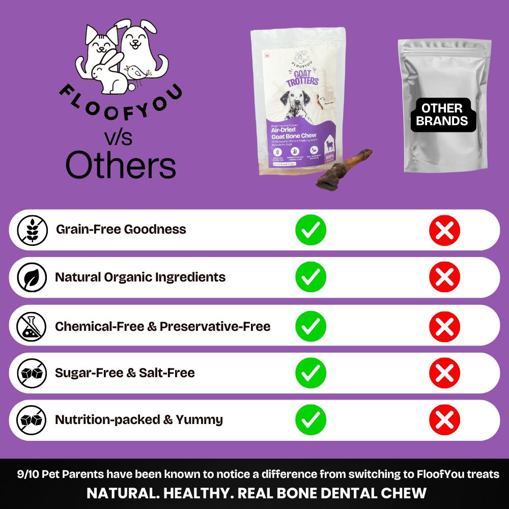 FloofYou Air Dried Goat Trotter Bone Chew Dog Treats image 3