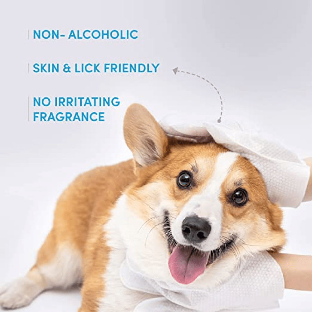 Barkbutler x Fofos 8 Waterless Wash Gloves for Dogs and Cats image 2
