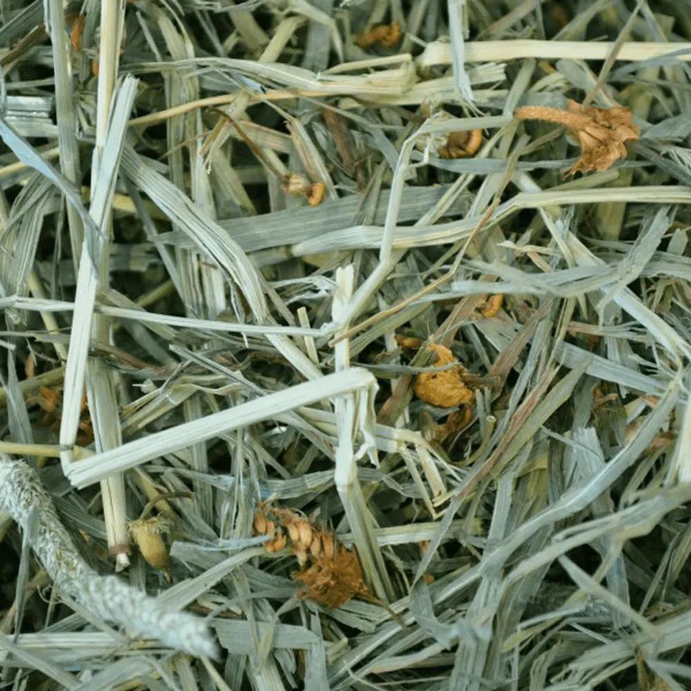 Oxbow Botanical Hay Dry Food for Rabbits, Hamsters and Guinea Pigs image 2