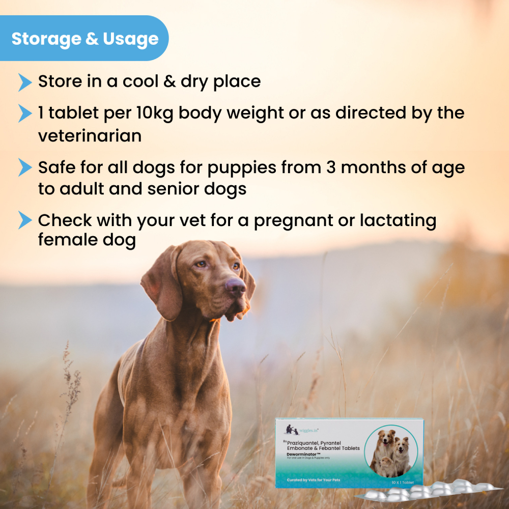 Wiggles Deworminator Deworming Tablets for Dogs and Cats image 4