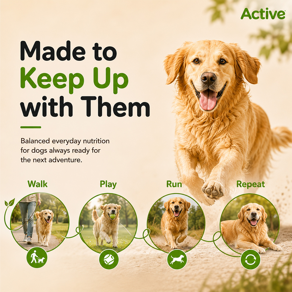Active All Breed 100% Veg Dog Dry Food (Buy 1 Get 1) image 6