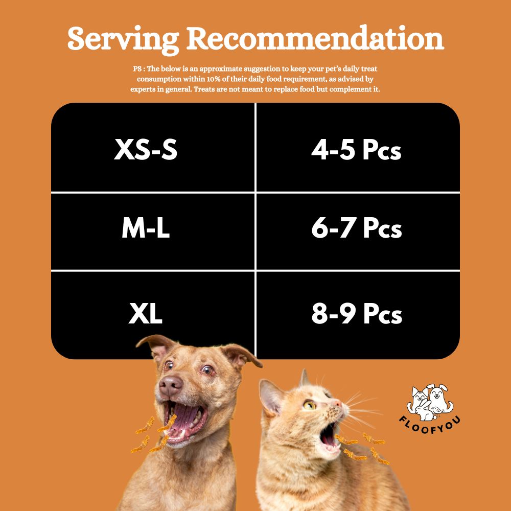 FloofYou Air Dried Chicken Breast Jerky Dogs and Cats Treat image 6