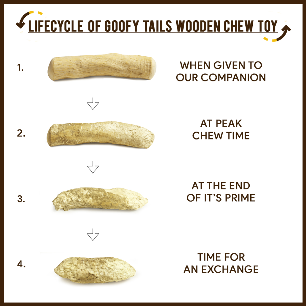 Goofy Tails Coffee Wood Chewing Stick Toy for Dogs | For Medium Chewers image 7