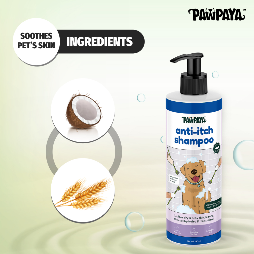 Pawpaya Anti Itch Shampoo for Dogs image 5