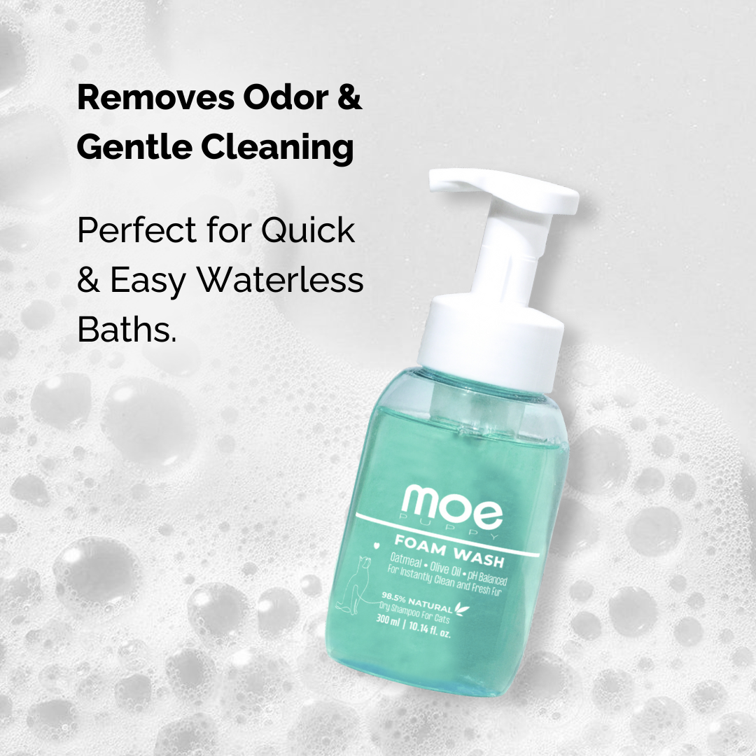 Moe Puppy Cleansing & Conditioning Foam Shampoo for Cats image 8
