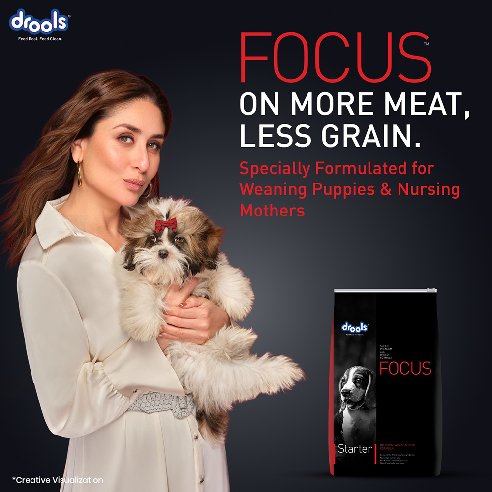 Drools Focus Super Premium Starter Dog Dry Food | Corn & Wheat Free Formula image 5