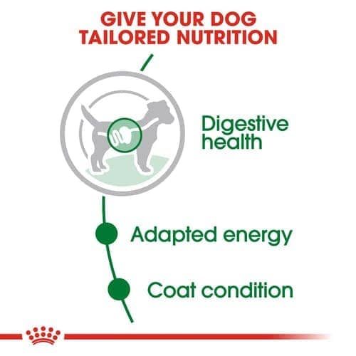 Royal Canin Mini Adult Gravy Dog Wet Food image 6