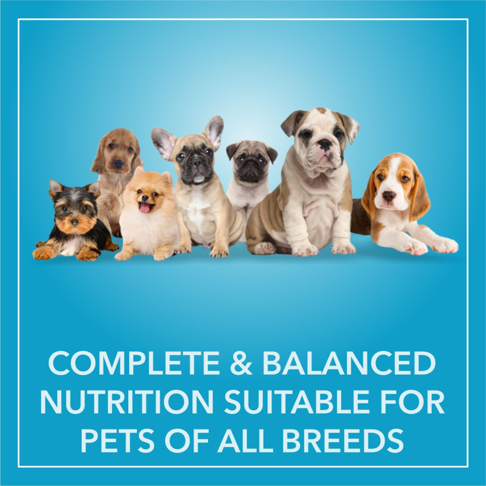 Purepet Chicken & Vegetable Puppy Dog Dry Food image 5