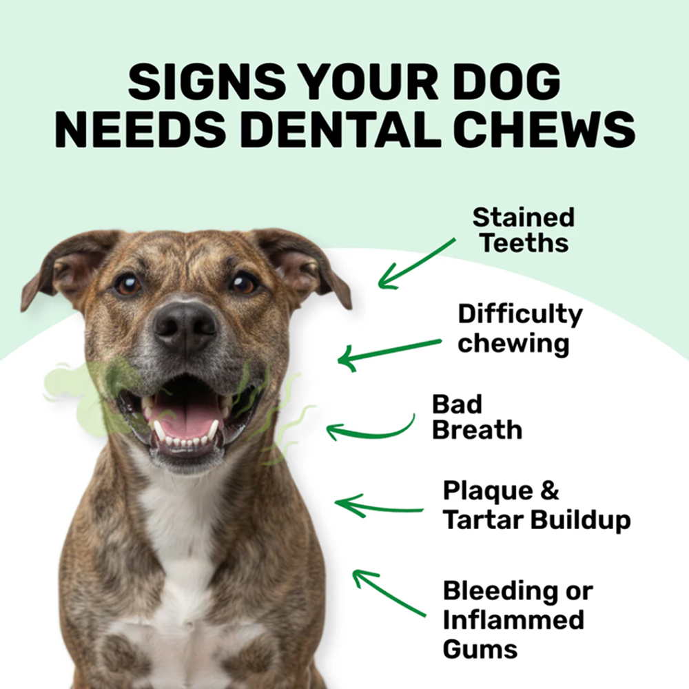 Absolut Pet Oral Care Plaque & Tartar Remover Chews Dog Supplements image 4