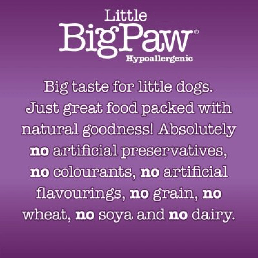 Little Big Paw Atlantic Salmon & Vegetables Terrine Dog Wet Food image 2