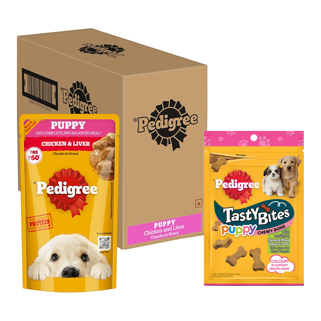 Pedigree Chicken and Liver Chunks in Gravy Pouch Puppy Dog Wet Food (130g)