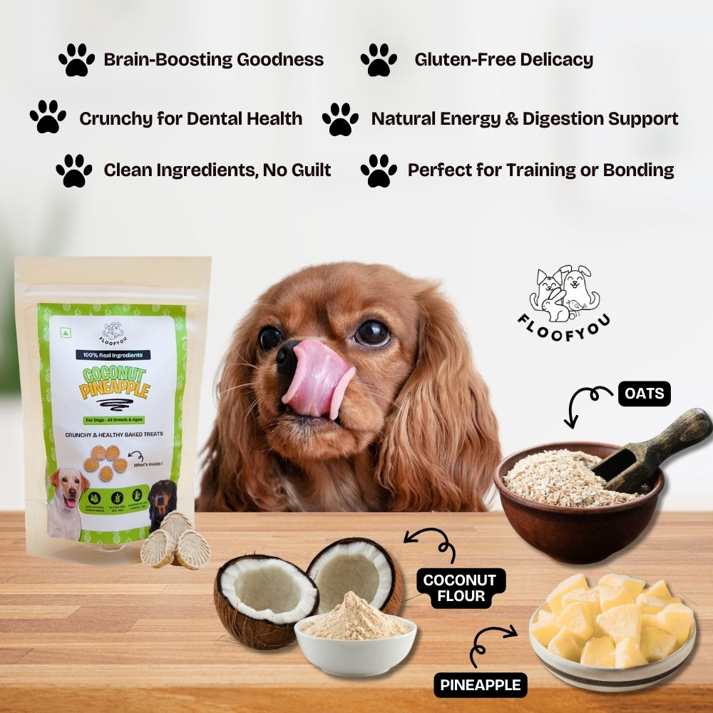 Floofyou Coconut Pineapple Vegan Oven Baked Cookie Dog Treats image 2