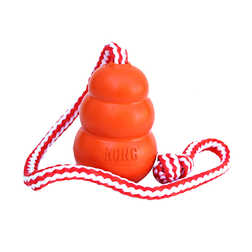 Kong Aqua Toy for Dogs (Orange) image 1