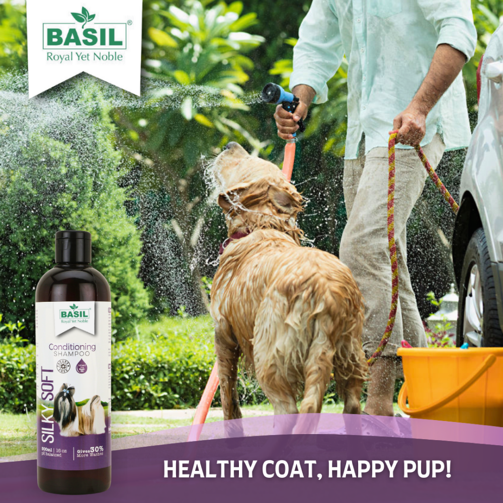 Basil Silky Soft Conditioning Dog Shampoo image 10