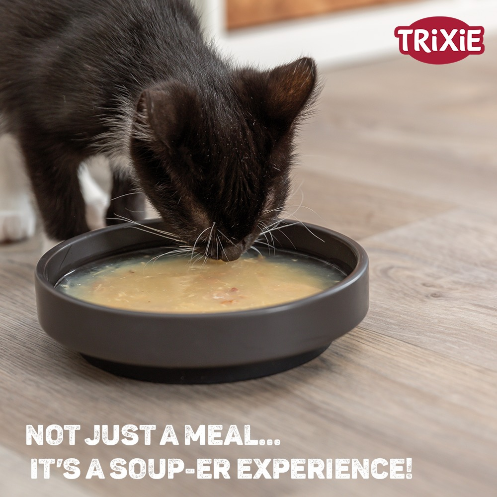 Trixie Kitts Salmon Soup for Cats image 6