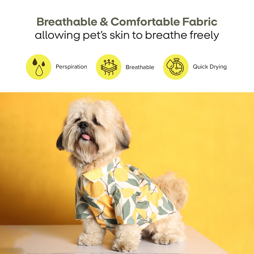 15buttons Limon Shirt for Dogs image 6