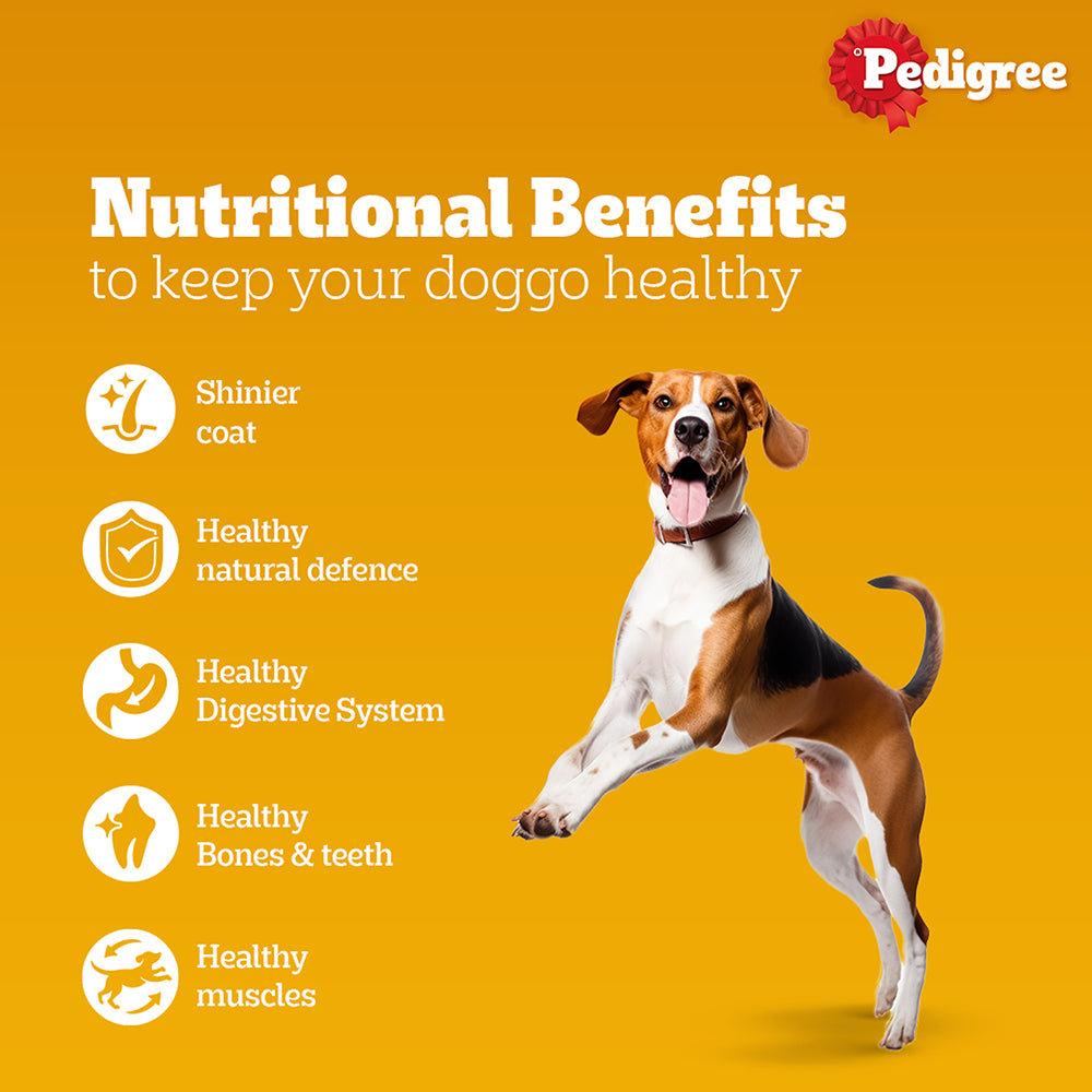 SKATRS Anti Skid Stainless Steel Bowl and Pedigree Chicken and Vegetables Adult Dry Dog Food Combo image 10