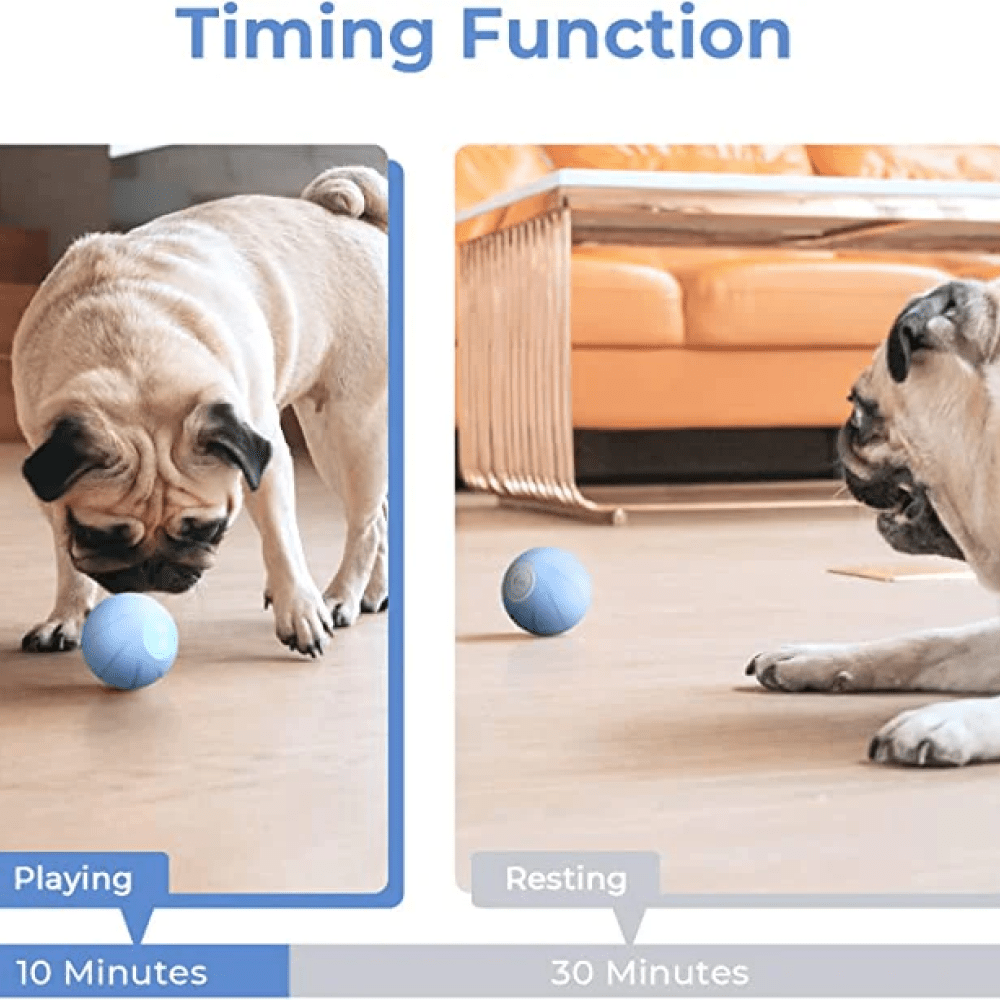 Cheerble Wicked SE Ball Toy for Dogs | For Medium Chewers (Blue) image 5