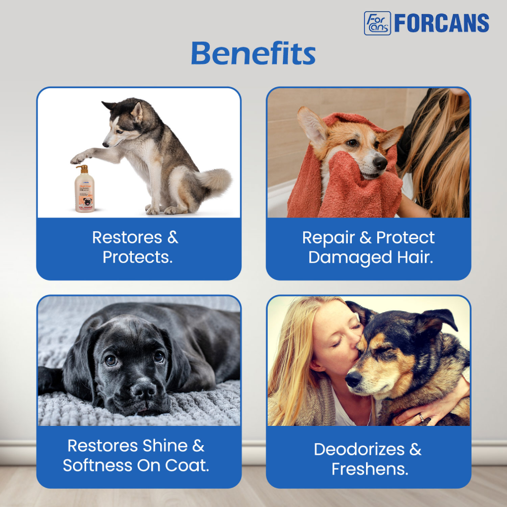 Forbis/Forcans Short Coat Aloe Shampoo for Dogs image 7