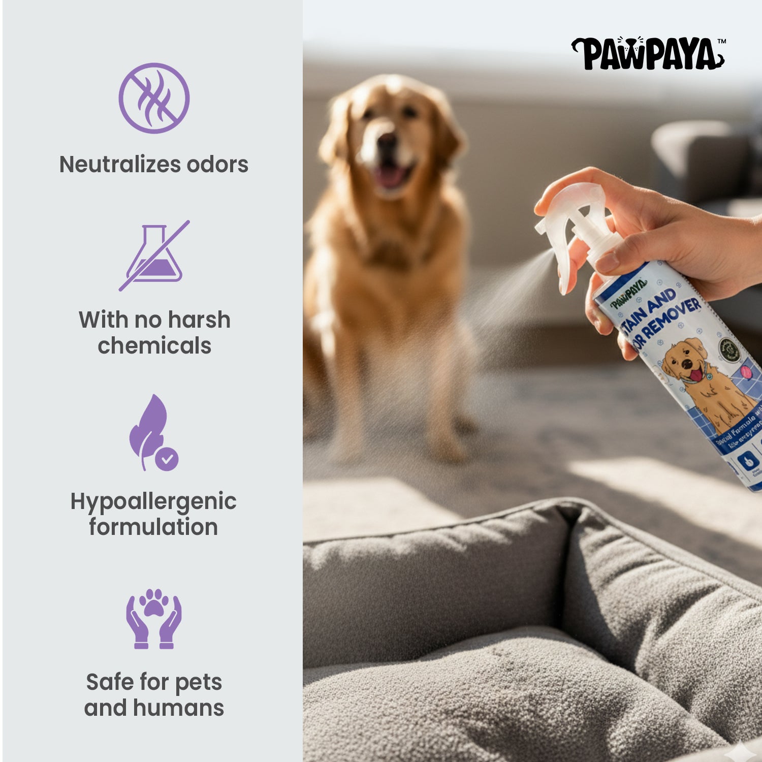 Pawpaya Stain and Odour Remover for Dogs image 4