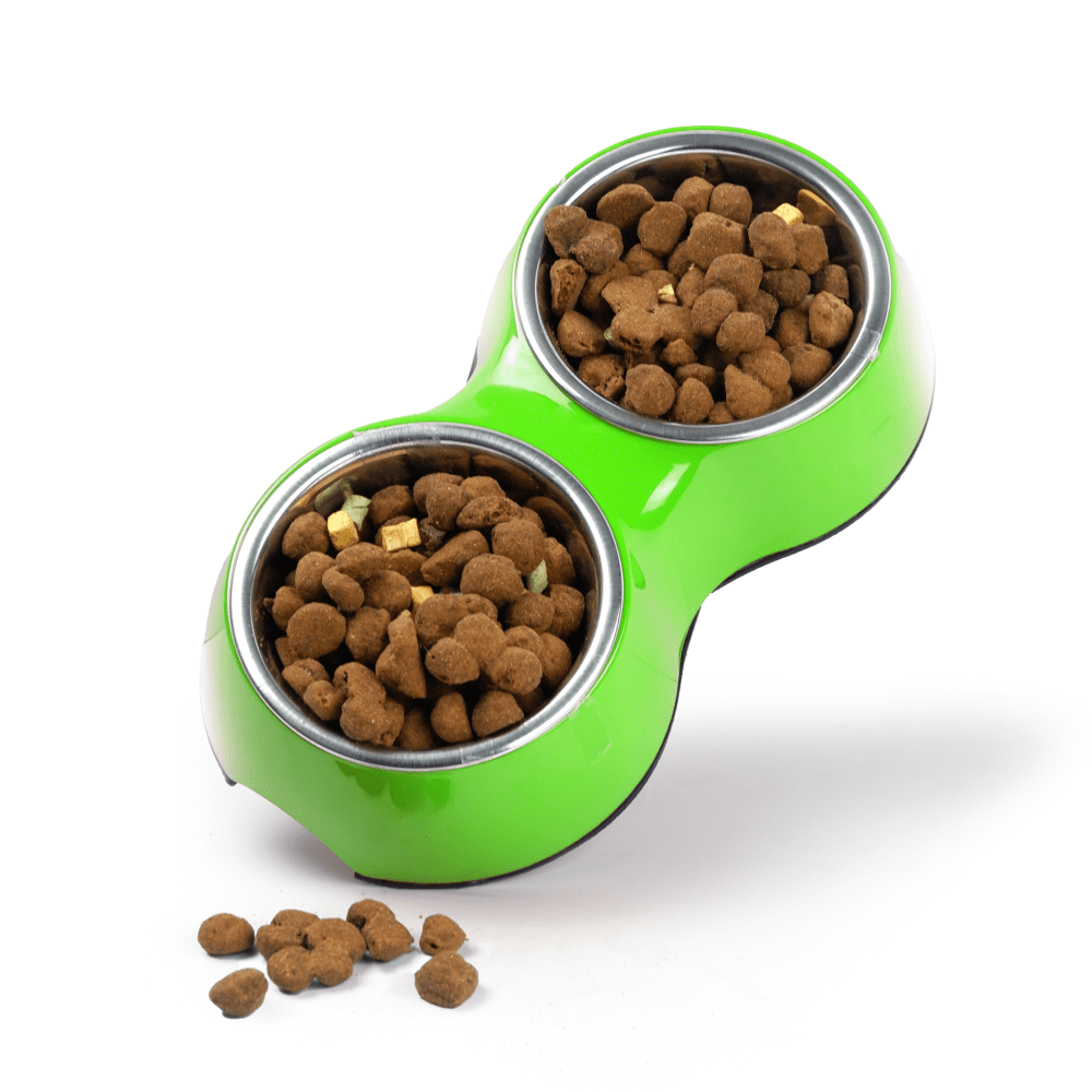 Basil Double Melamine Bowl Dinner Set for Dogs and Cats (Green) image 6