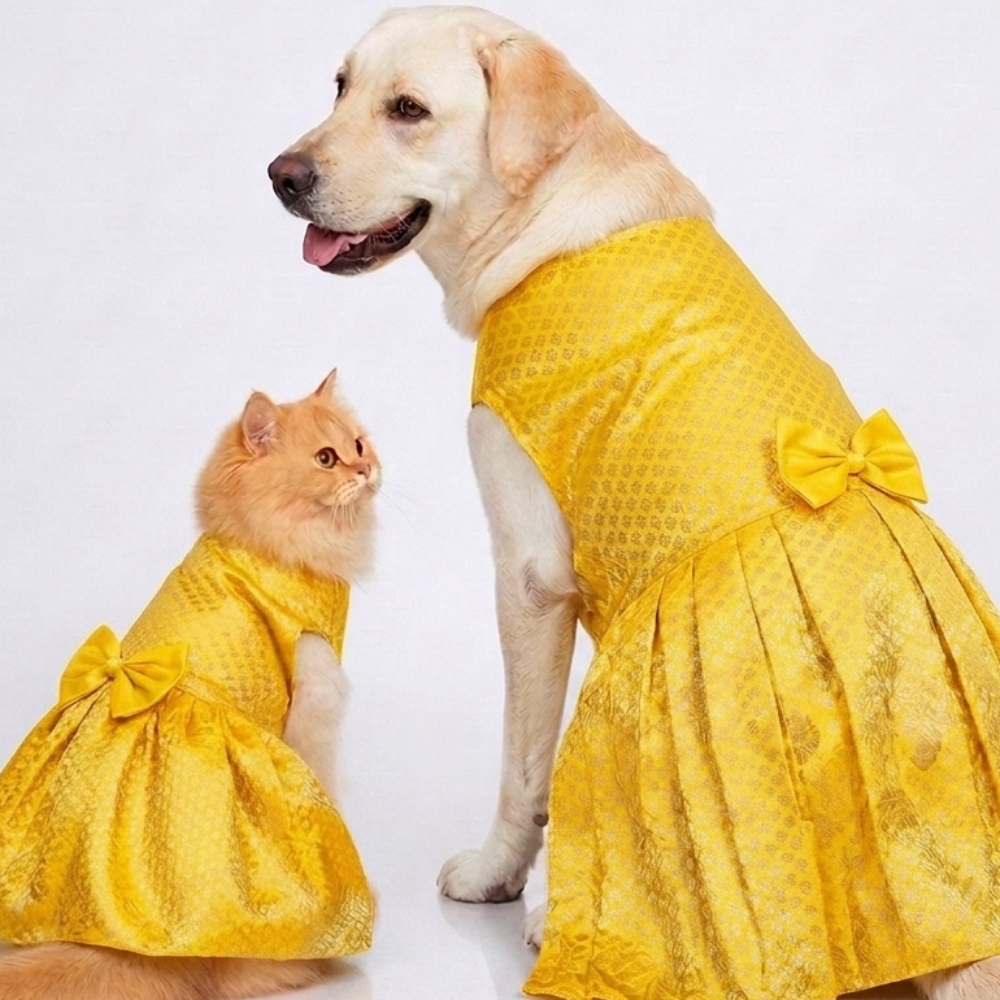 Skatrs Brocade Gold Printed Dress for Dogs and Cats (Yellow)