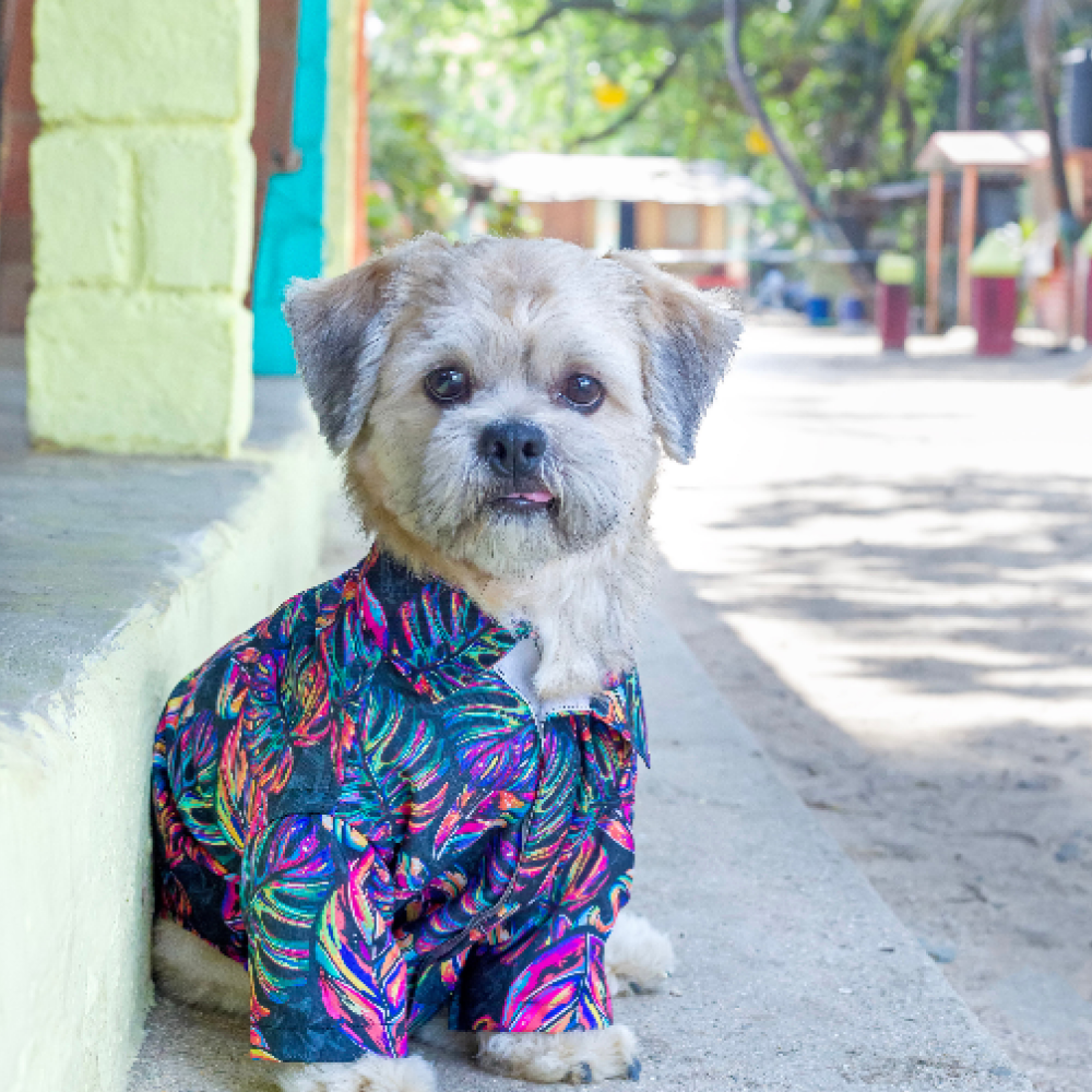 15buttons Neon Tropical Shirt for Dogs image 2