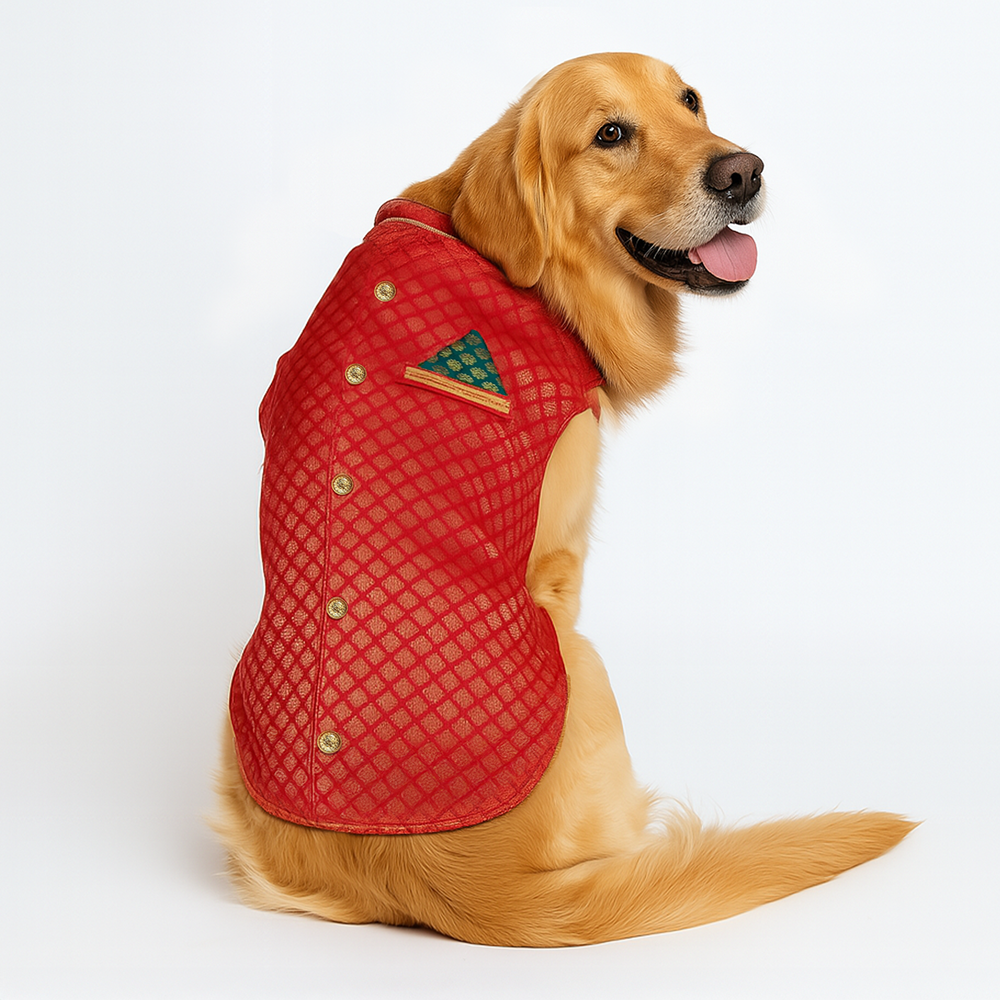 Pawsindia Traditional Royal Brocade Kurta for Dogs (Red)