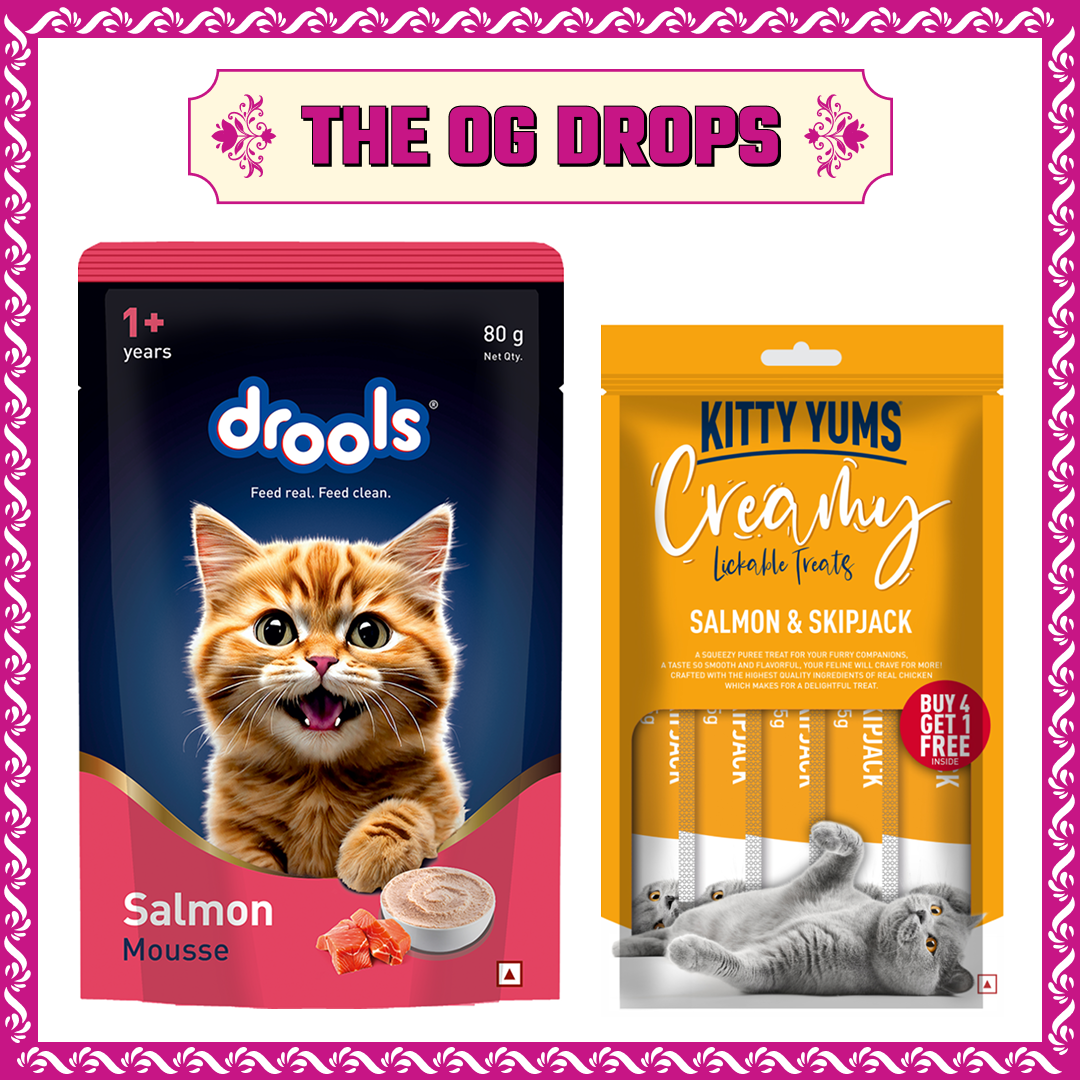 Drools Salmon Mousse Adult Cat Wet Food image 3