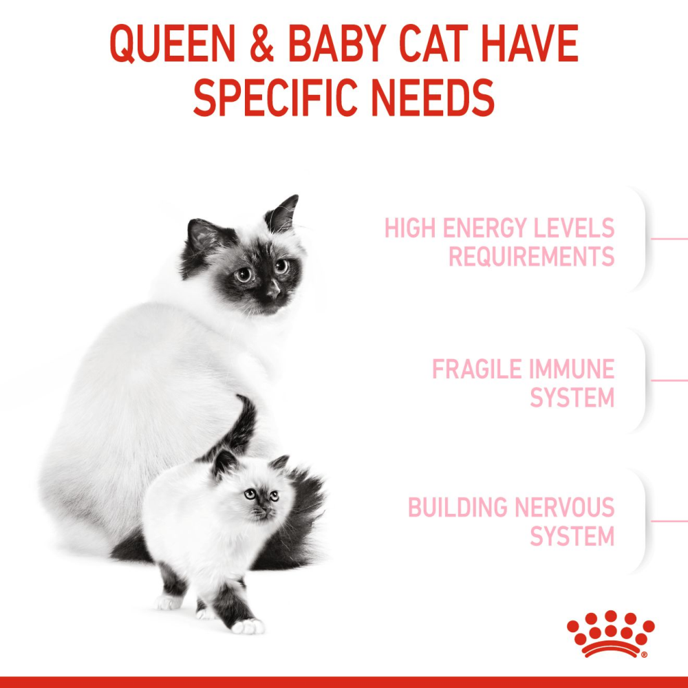 Royal Canin Mother & Babycat Cat Dry Food image 2