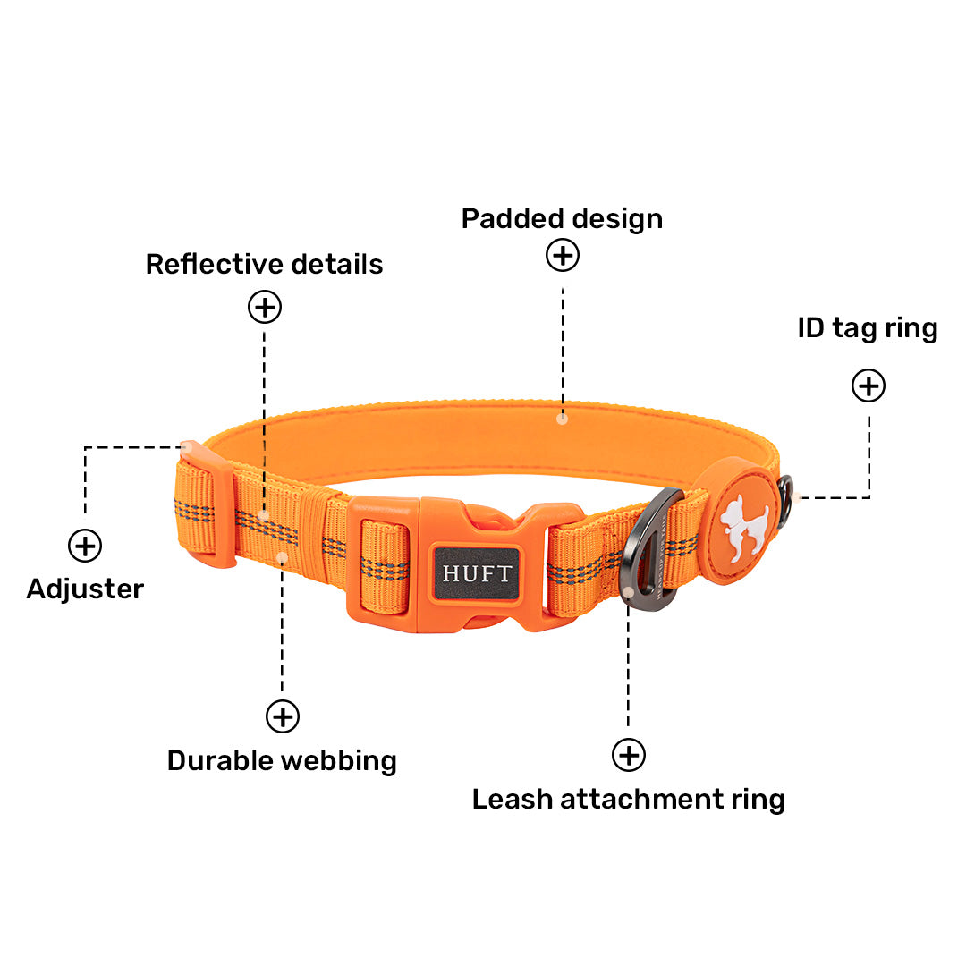 HUFT Xplorers Collar for Dogs (Orange) image 6